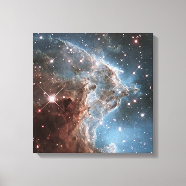 Monkey Head Nebula  Canvastryck (Framsida)