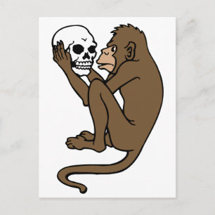 Monkey Holding A Skull Vykort