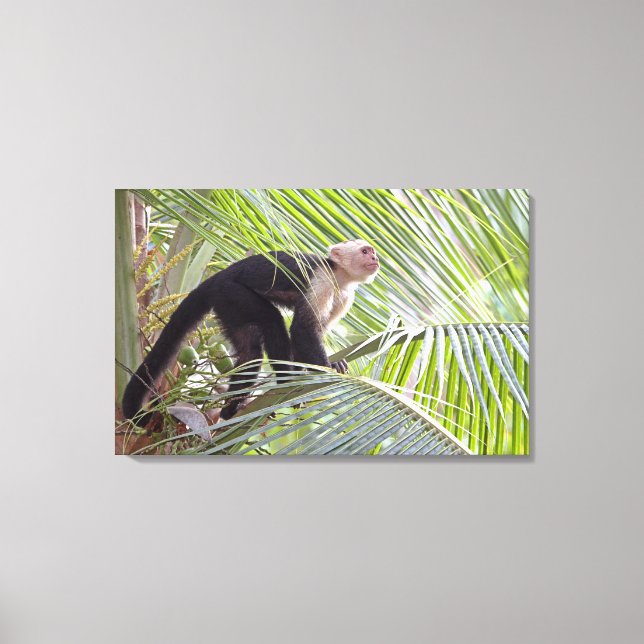 Monkey i Bamboo Jungle Photo Canvastryck (Framsida)