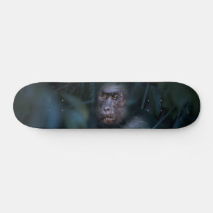 Monkey i Jungle Mini Skateboard Bräda 18,5 Cm