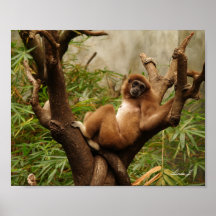 Monkey i Kanvastrycket Träd