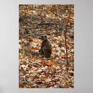 Monkey i torr säsong poster