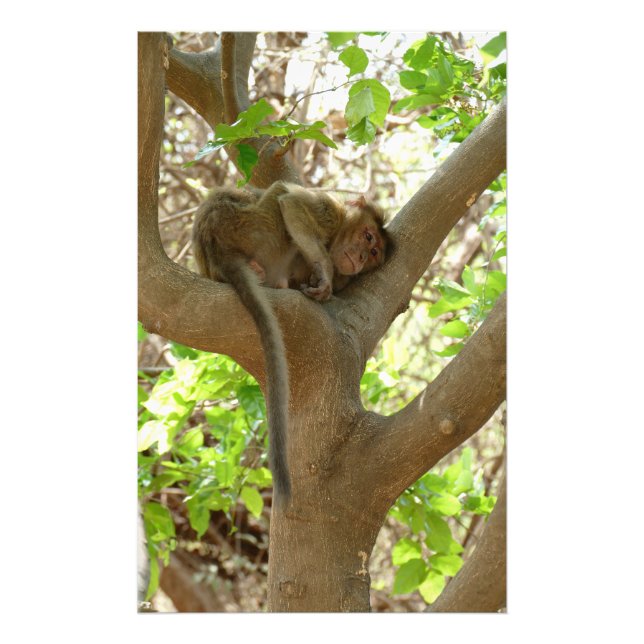 Monkey - jag är så trött fototryck (Framsidan)