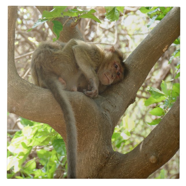 Monkey - jag är så trött kakelplatta (Framsidan)