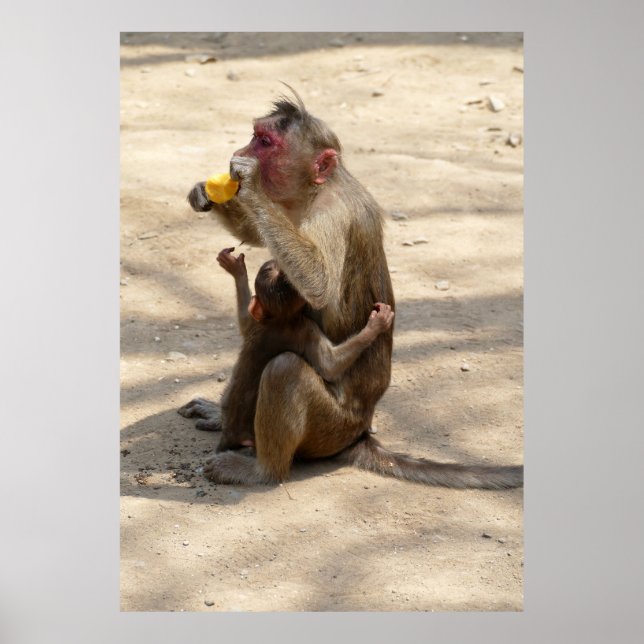 Monkey - jag vill ha något också poster (Framsidan)