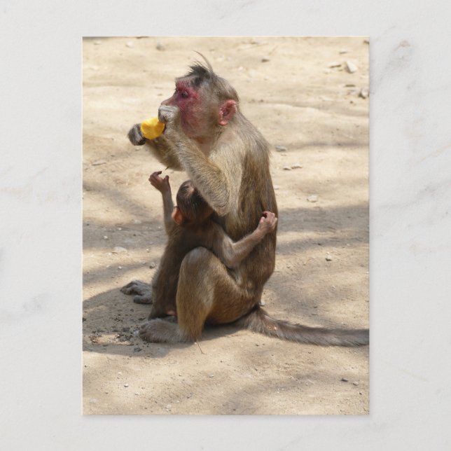 Monkey - jag vill ha något också vykort (Framsida)