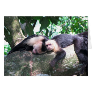 Monkey Kärlek OBS Kort