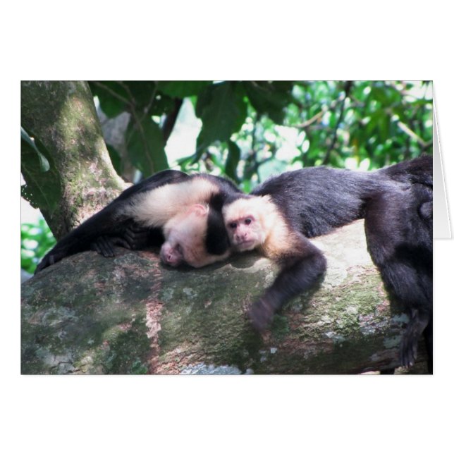 Monkey Kärlek OBS Kort (Framsidan Horizontal)