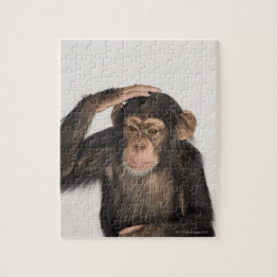 Monkey kliar huvudet pussel