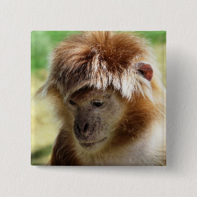 MONKEY KNAPP (Framsida)