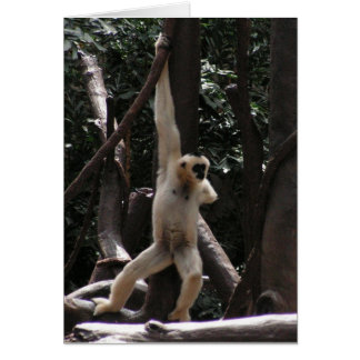 Monkey-kort Hälsningskort