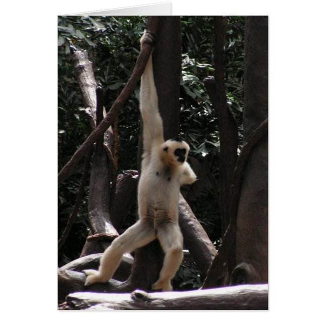 Monkey-kort Hälsningskort (Framsidan)