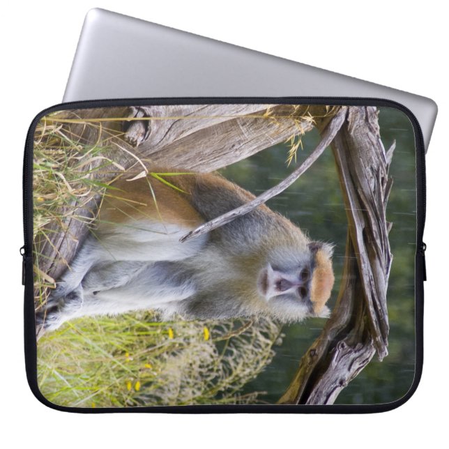 Monkey Laptop Sleeve (Framsidan)