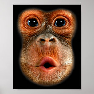 Monkey Mage Roligt Meme Coolt Viralt Video Poster