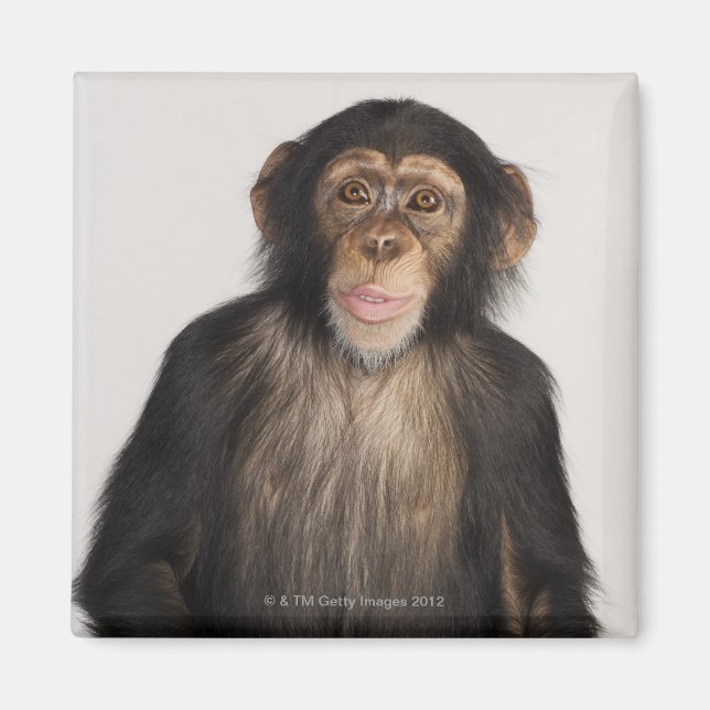 Monkey Magnet (Framsidan)