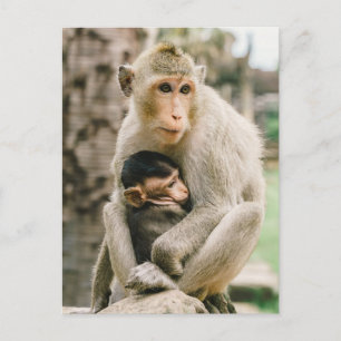 Monkey Mamma & Baby Vykort