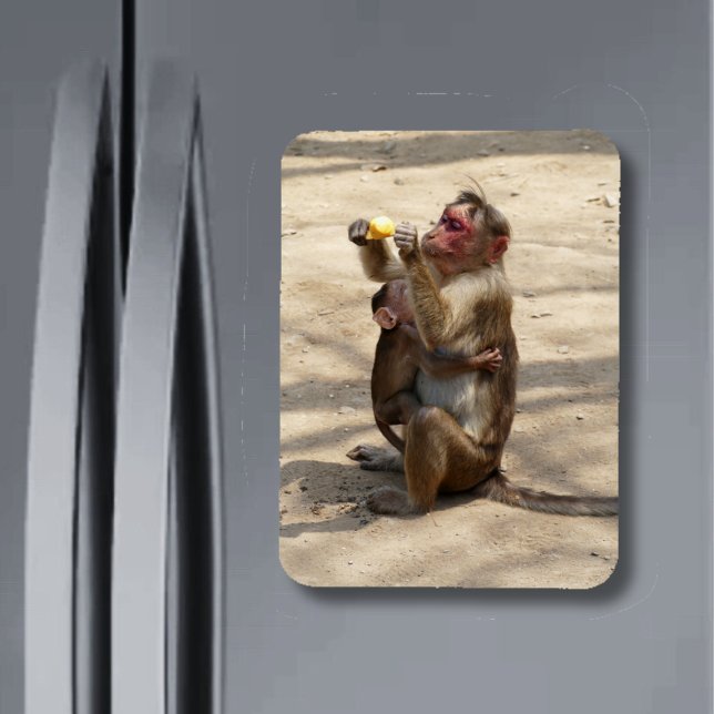Monkey - Mammor Breakfast Magnet (Skapare uppladdad)
