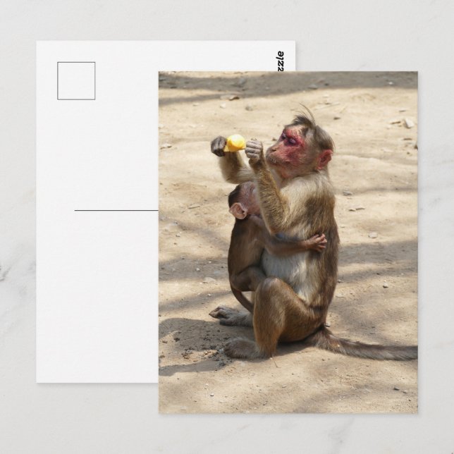 Monkey - Mammor Breakfast Vykort (Fram/baksida)