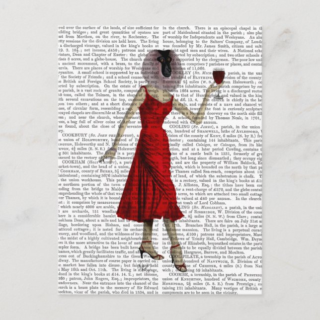 Monkey med Vin Vykort (Framsida)