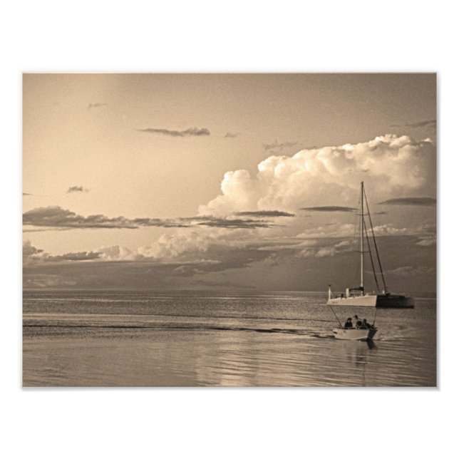 Monkey Mia Fototryck (Framsidan)