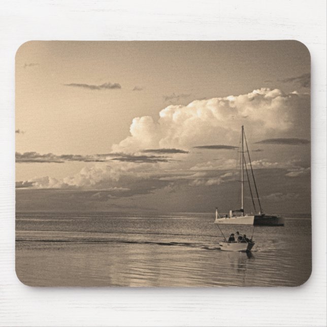 Monkey Mia Musmatta (Framsidan)