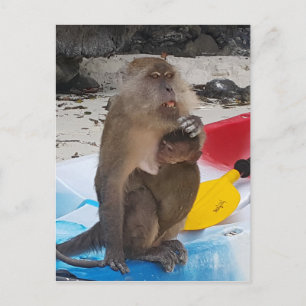 Monkey Mor & Baby Vykort