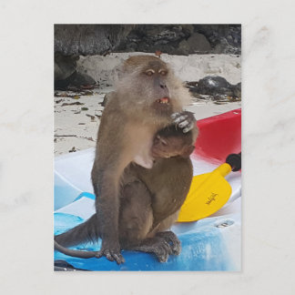 Monkey Mor & Baby Vykort