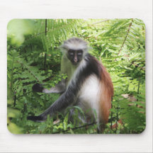 Monkey Mouse Pad