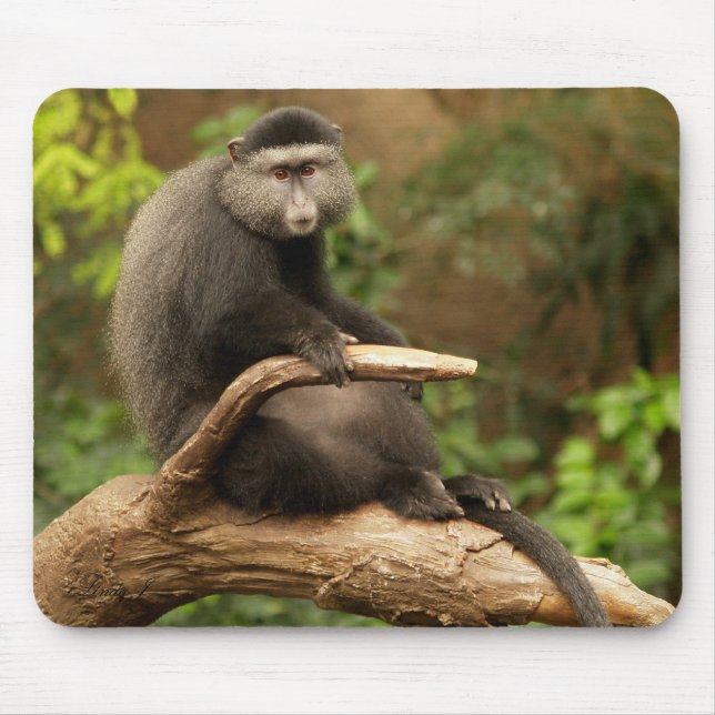 Monkey Mousepad Musmatta (Framsidan)