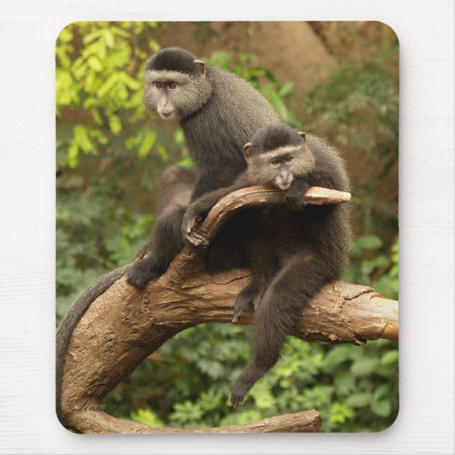 Monkey Mousepad Musmatta (Framsidan)