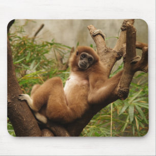 Monkey Mousepad Musmatta