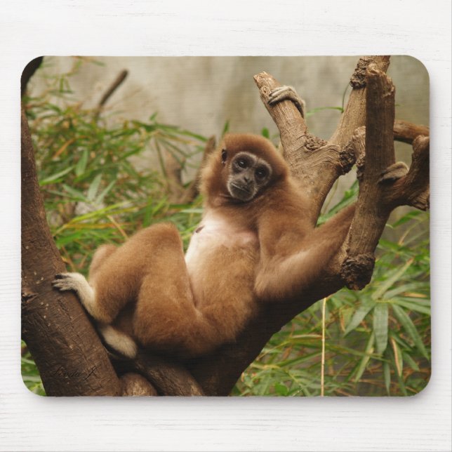 Monkey Mousepad Musmatta (Framsidan)