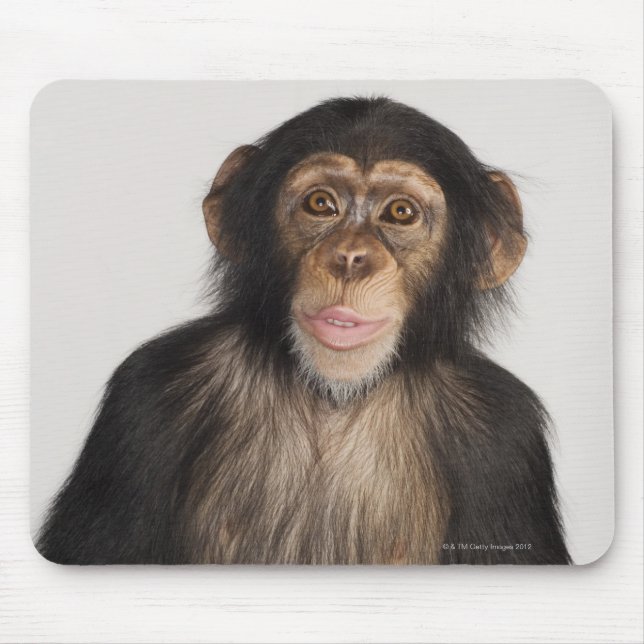 Monkey Musmatta (Framsidan)