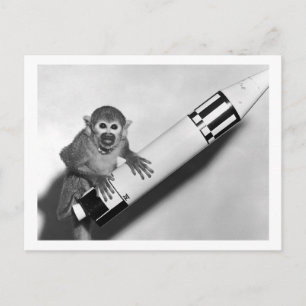 Monkey - NASA - 1950-talet Vykort