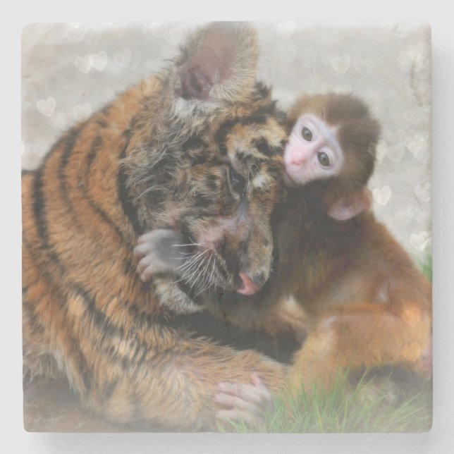 Monkey och Tiger Stenunderlägg (Framsidan)