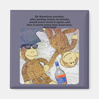 Monkey-offertmagnet Magnet