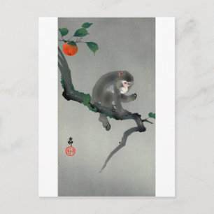 Monkey på Persimmonträd, Ohara Koson Vykort