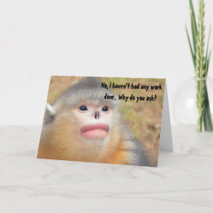 Monkey Plastic Surgery Humor Funny Hälsning Kort