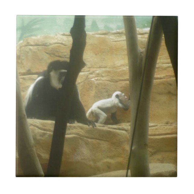 Monkey Play Kakelplatta (Framsidan)