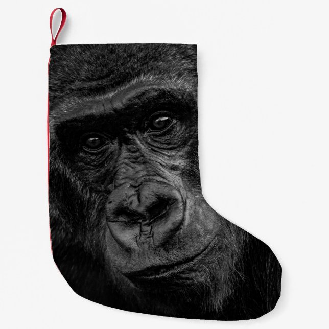 MONKEY PORTRÄTT ON BW LITEN JULSTRUMPA (Framsidan)