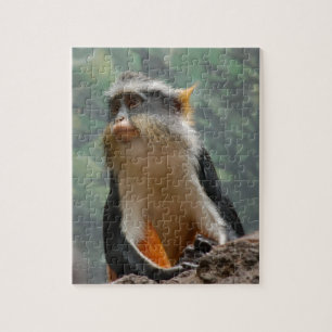 Monkey Porträtt Puzzle Pussel