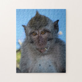 Monkey Pussel