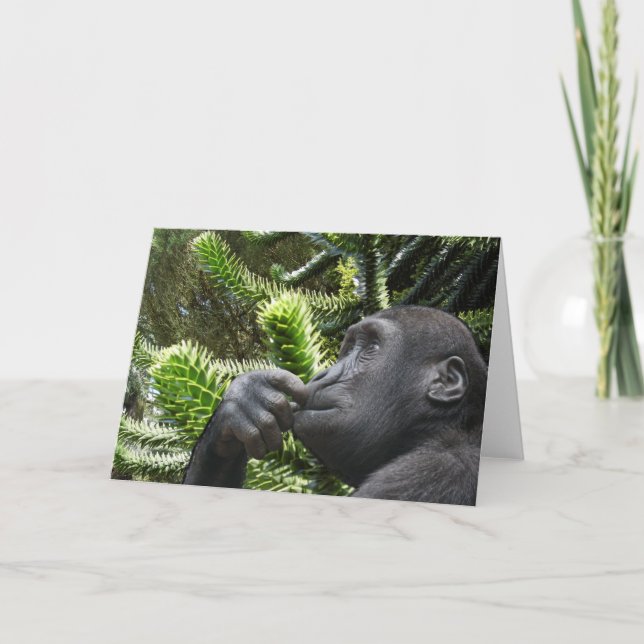 Monkey Puzzle. Kort (Framsida)