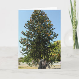 Monkey Puzzle & Puzzled Gorilla. Kort