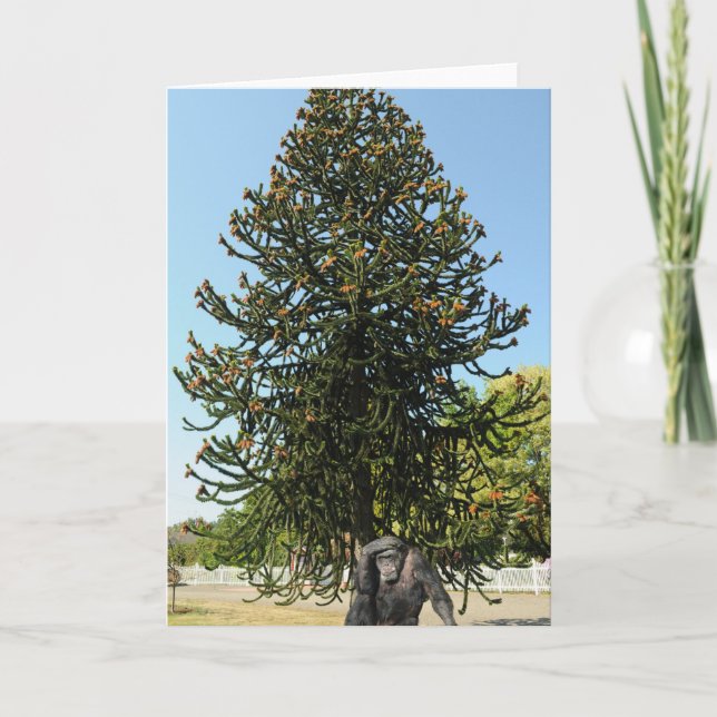 Monkey Puzzle & Puzzled Gorilla. Kort (Framsida)