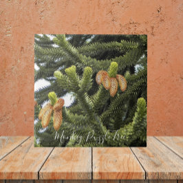 Monkey Puzzle Träd Botanical Kakelplatta