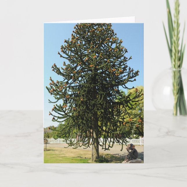 Monkey Puzzled. Kort (Framsida)