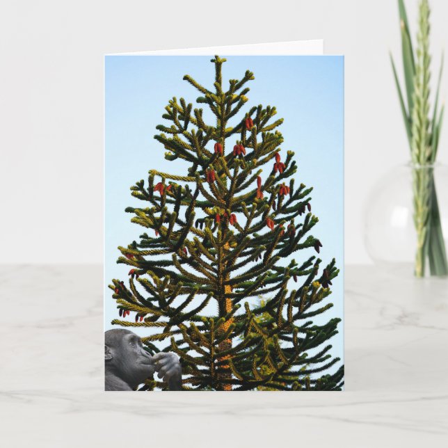 Monkey Puzzled. Kort (Framsida)