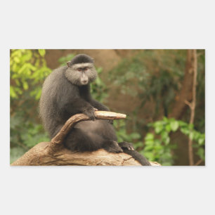 Monkey Rectangle-etikett Rektangulärt Klistermärke