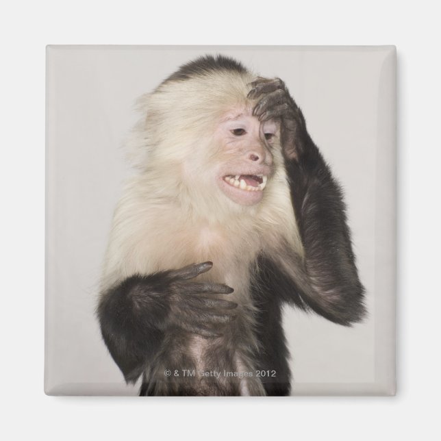 Monkey repar sig själv magnet (Framsidan)